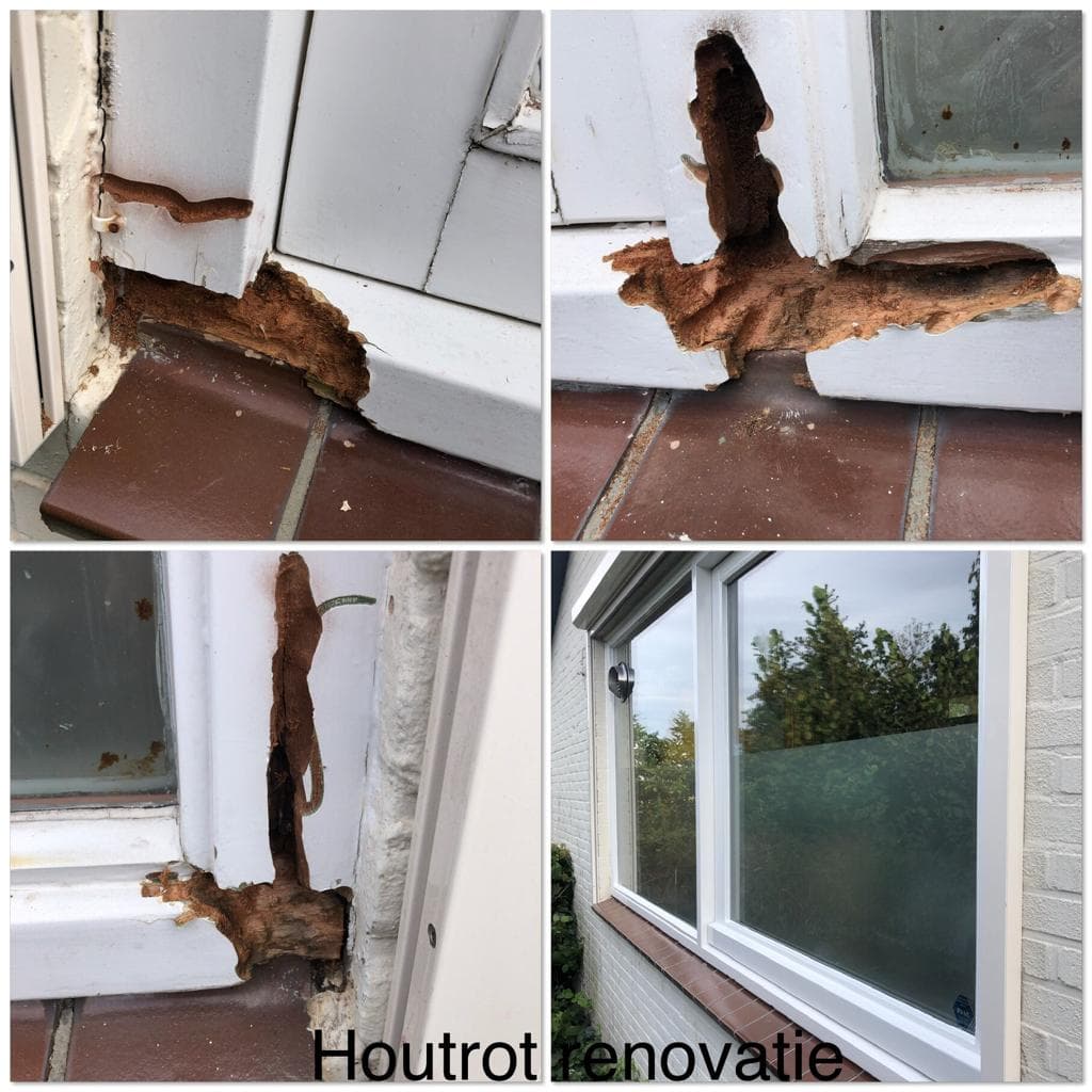 Houtrot renovatie | MBrugman Schilderwerken Beek